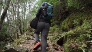 秋の天狗岳登山道 渋温泉~黒百合ヒュッテ~スリバチ池