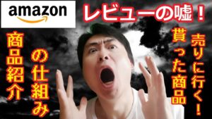 【暴露!】amazonレビューは嘘!?商品紹介の仕組みと貰った商品を売りに行く!【ドキュメント無職45話】