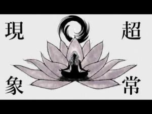 超常現象 歌ってみたのはメガテラ・ゼロ