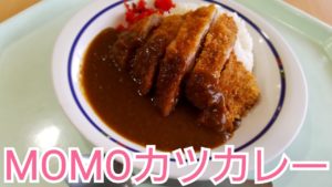 【ぼっち飯】食堂でMOMOカツカレーを食べてみた‼【桃山学院大学】