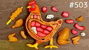 ニワトリ解体!焼き鳥パズルで部位を学べ!Chicken Yakitori demolition puzzle. Japanese toy