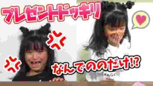 【ドッキリ】お兄ちゃんが双子にサプライズプレゼント!のはずが・・・??ここにドッキリしてみた!!【ここのの】