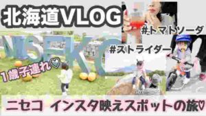 【家族旅行VLOG】北海道ニセコでインスタ映えスポット巡り♡1歳初めてのストライダー挑戦!!
